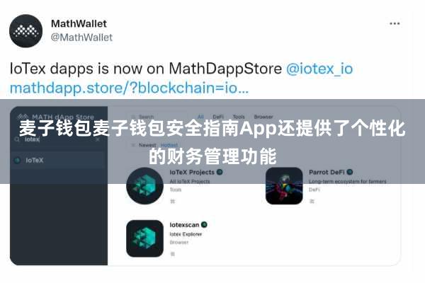 麦子钱包麦子钱包安全指南App还提供了个性化的财务管理功能