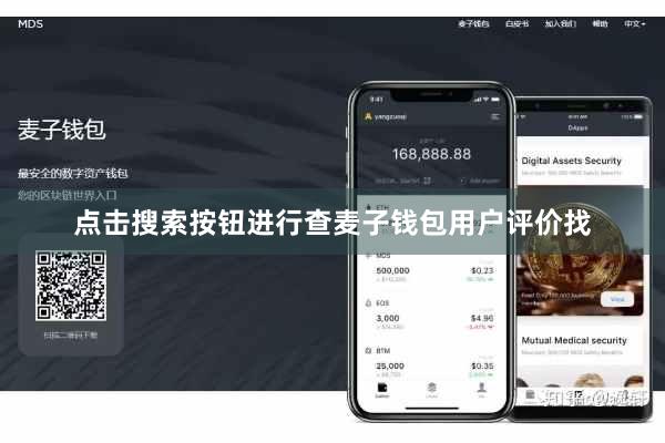 点击搜索按钮进行查麦子钱包用户评价找