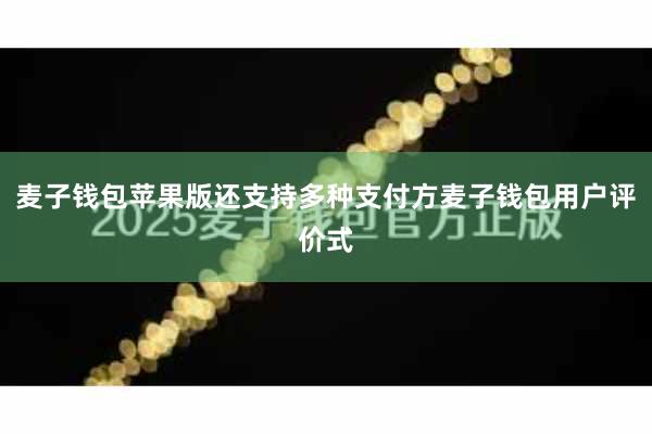 麦子钱包苹果版还支持多种支付方麦子钱包用户评价式