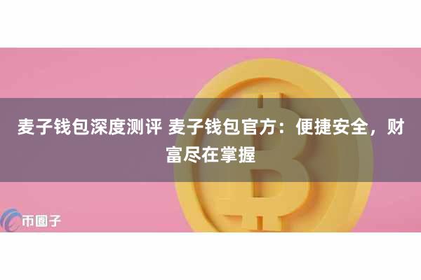 麦子钱包深度测评 麦子钱包官方：便捷安全，财富尽在掌握