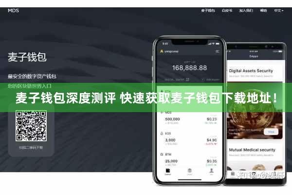 麦子钱包深度测评 快速获取麦子钱包下载地址！