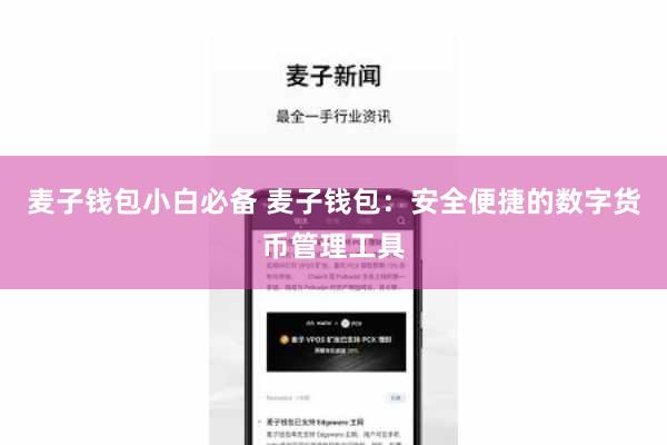 麦子钱包小白必备 麦子钱包：安全便捷的数字货币管理工具