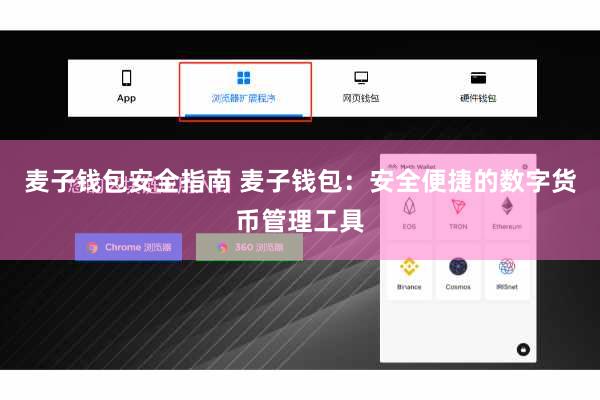 麦子钱包安全指南 麦子钱包：安全便捷的数字货币管理工具