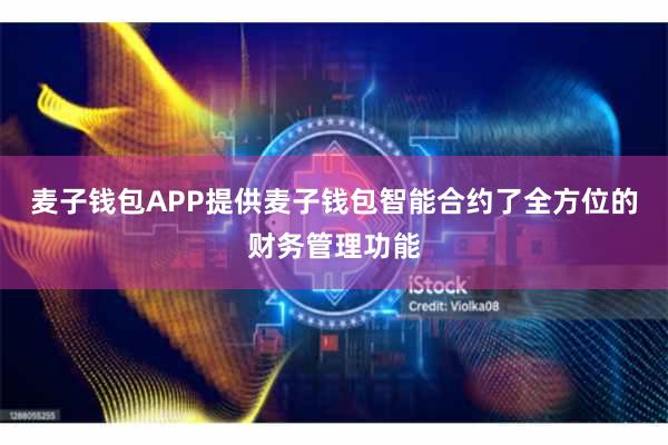麦子钱包APP提供麦子钱包智能合约了全方位的财务管理功能