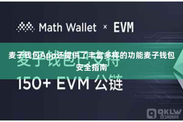 麦子钱包App还提供了丰富多样的功能麦子钱包安全指南