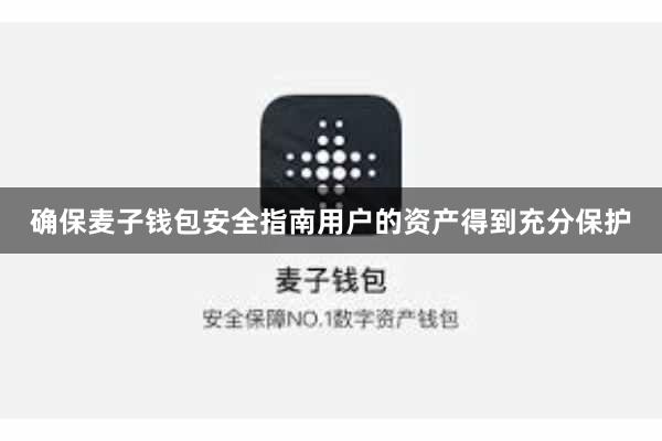 确保麦子钱包安全指南用户的资产得到充分保护