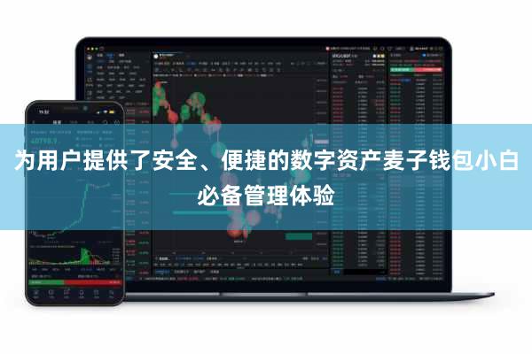 为用户提供了安全、便捷的数字资产麦子钱包小白必备管理体验