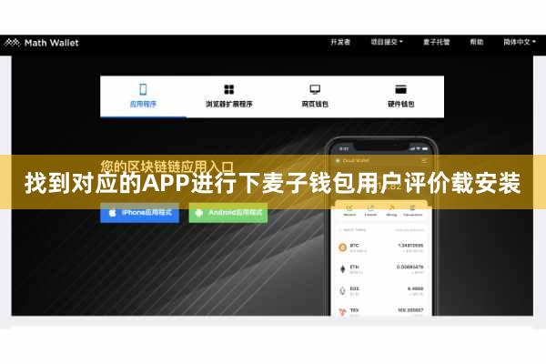 找到对应的APP进行下麦子钱包用户评价载安装