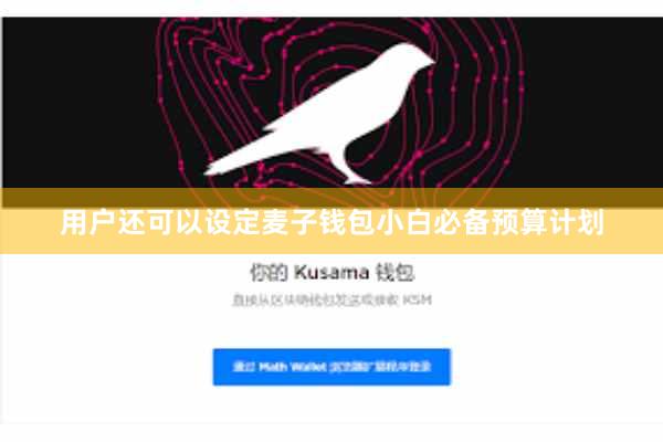 用户还可以设定麦子钱包小白必备预算计划
