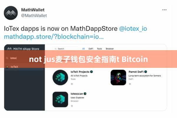 not jus麦子钱包安全指南t Bitcoin