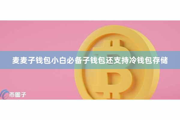 麦麦子钱包小白必备子钱包还支持冷钱包存储