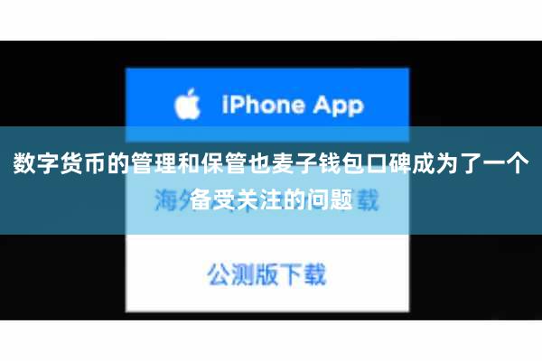 数字货币的管理和保管也麦子钱包口碑成为了一个备受关注的问题