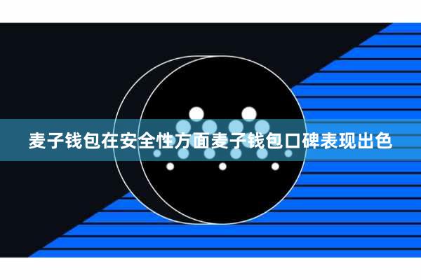 麦子钱包在安全性方面麦子钱包口碑表现出色