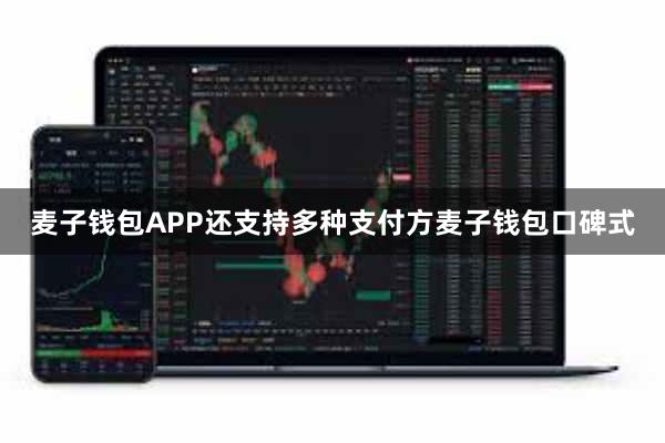 麦子钱包APP还支持多种支付方麦子钱包口碑式