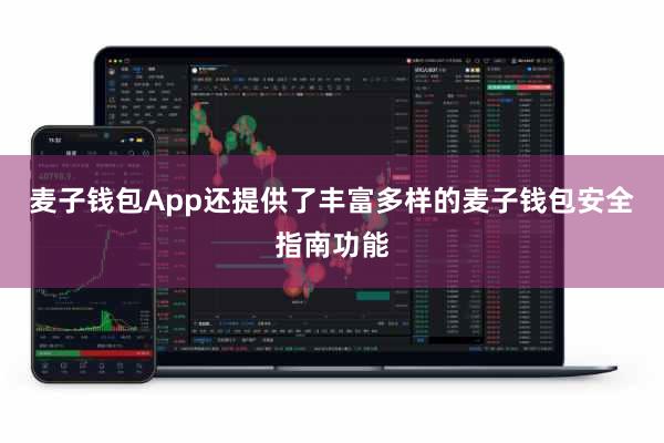 麦子钱包App还提供了丰富多样的麦子钱包安全指南功能