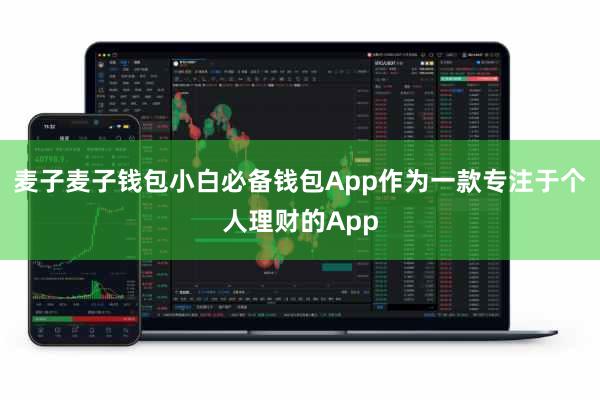 麦子麦子钱包小白必备钱包App作为一款专注于个人理财的App