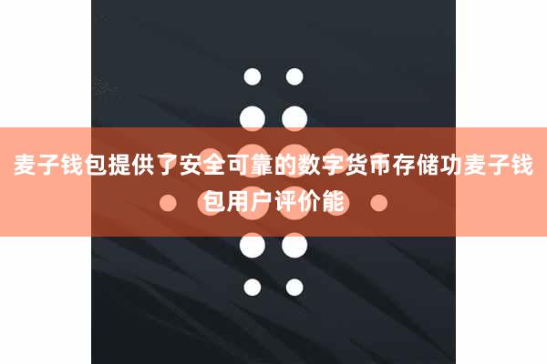 麦子钱包提供了安全可靠的数字货币存储功麦子钱包用户评价能