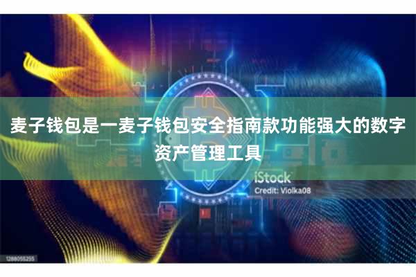 麦子钱包是一麦子钱包安全指南款功能强大的数字资产管理工具
