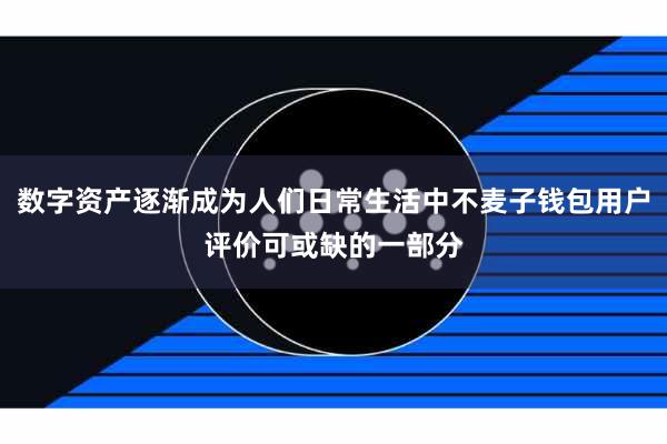 数字资产逐渐成为人们日常生活中不麦子钱包用户评价可或缺的一部分