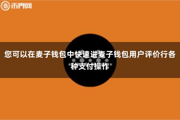 您可以在麦子钱包中快速进麦子钱包用户评价行各种支付操作