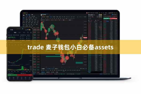 trade 麦子钱包小白必备assets
