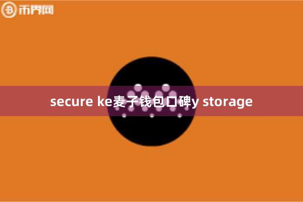 secure ke麦子钱包口碑y storage