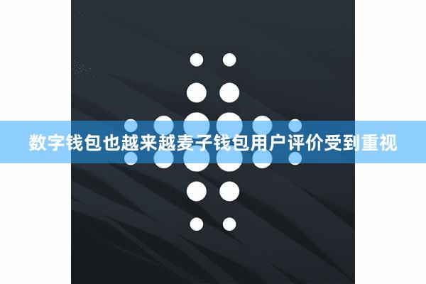 数字钱包也越来越麦子钱包用户评价受到重视