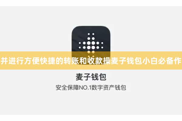 并进行方便快捷的转账和收款操麦子钱包小白必备作