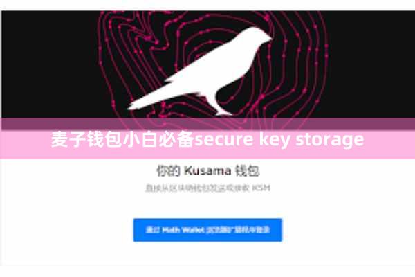 麦子钱包小白必备secure key storage