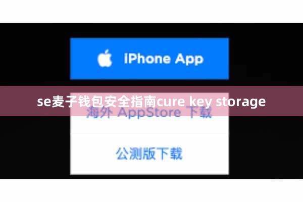 se麦子钱包安全指南cure key storage
