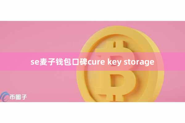 se麦子钱包口碑cure key storage