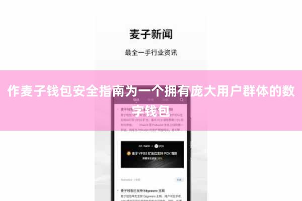 作麦子钱包安全指南为一个拥有庞大用户群体的数字钱包