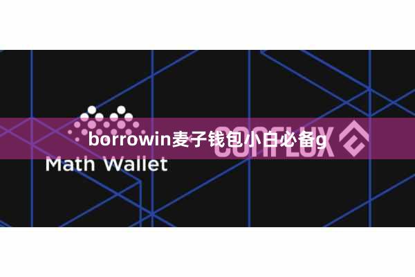 borrowin麦子钱包小白必备g