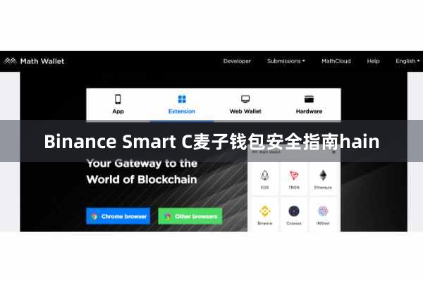 Binance Smart C麦子钱包安全指南hain