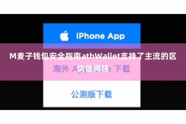 M麦子钱包安全指南athWallet支持了主流的区块链网络