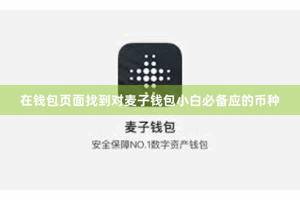 在钱包页面找到对麦子钱包小白必备应的币种