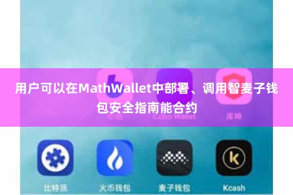 用户可以在MathWallet中部署、调用智麦子钱包安全指南能合约