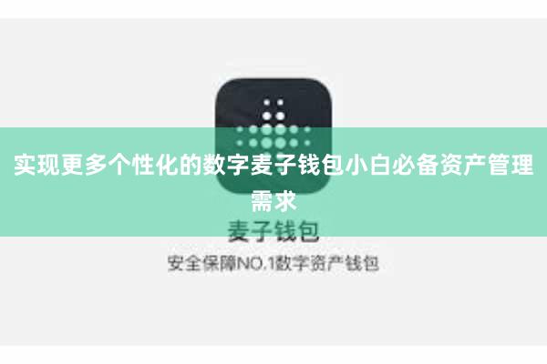 实现更多个性化的数字麦子钱包小白必备资产管理需求