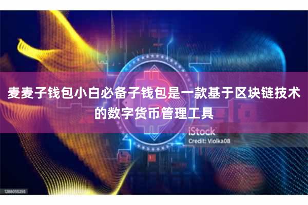 麦麦子钱包小白必备子钱包是一款基于区块链技术的数字货币管理工具