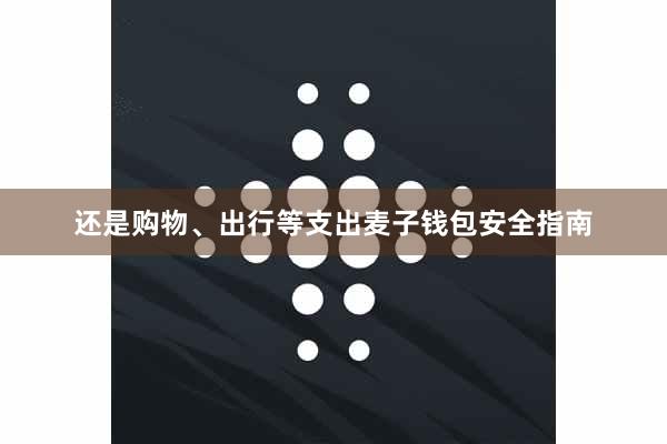 还是购物、出行等支出麦子钱包安全指南