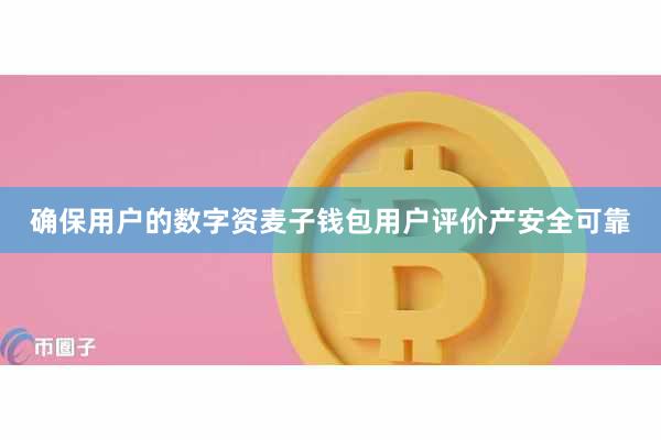 确保用户的数字资麦子钱包用户评价产安全可靠