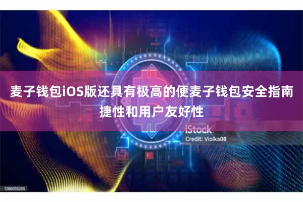 麦子钱包iOS版还具有极高的便麦子钱包安全指南捷性和用户友好性