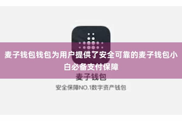 麦子钱包钱包为用户提供了安全可靠的麦子钱包小白必备支付保障