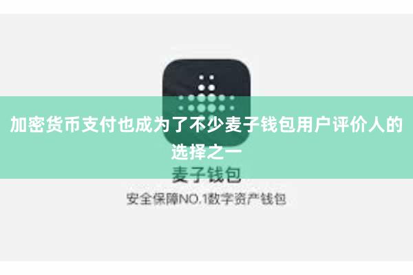 加密货币支付也成为了不少麦子钱包用户评价人的选择之一