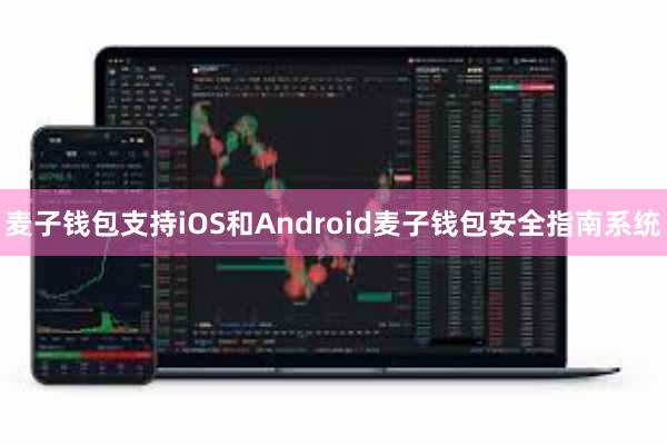 麦子钱包支持iOS和Android麦子钱包安全指南系统