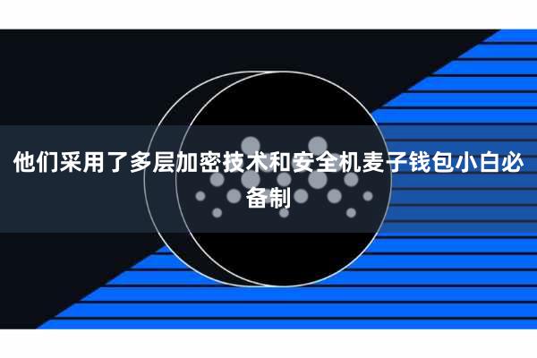 他们采用了多层加密技术和安全机麦子钱包小白必备制